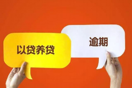 丛台专业讨债公司有哪些核心服务？